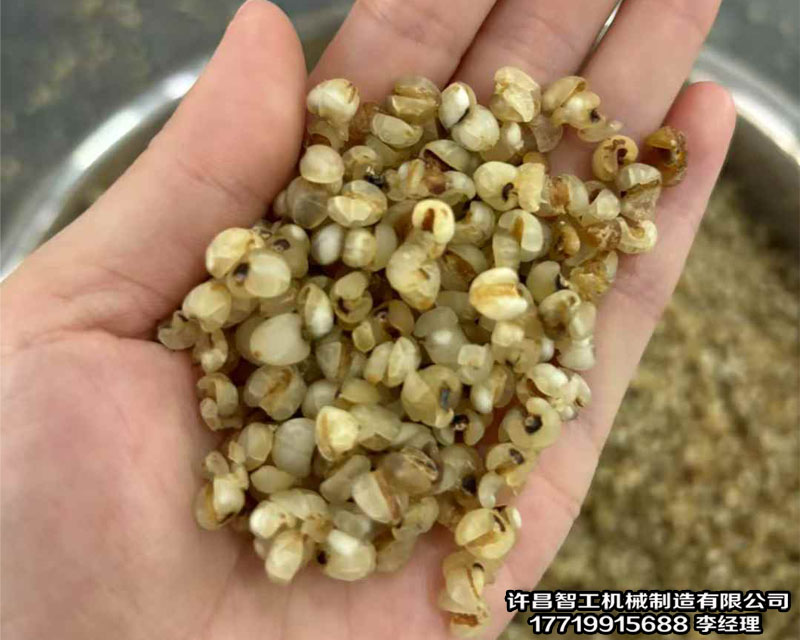 许昌智工电磁炒货机加工膨化食品效果棒棒哒