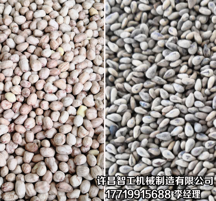 炒芝麻机.jpg