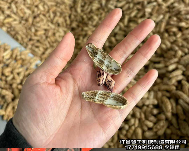 炒货机.jpg
