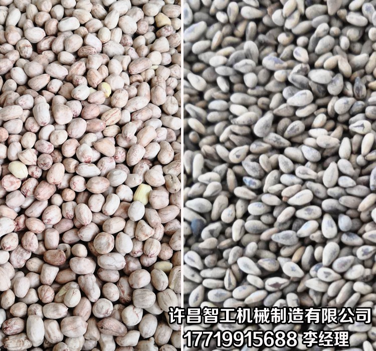 炒芝麻机.jpg