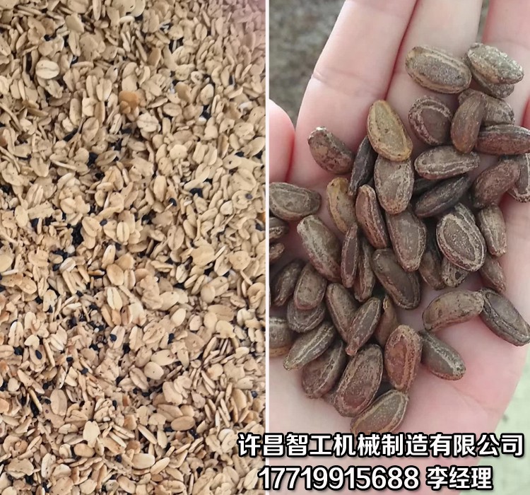 电磁炒货机.jpg